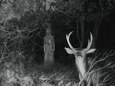 Looking character concept creepy dark darkness forest illustration landscape nature procreate scary