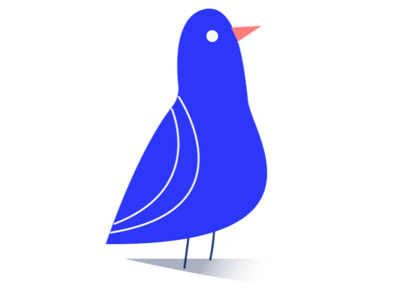 Bluix Sparrow 404 Page not found 404 error 404 error page 404 page animated gif animation gif animation gif art motion graphics