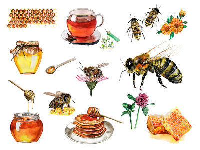 Honey bee - watercolor illustrations art bee bumblebee honey illustration sweet tea watercolor