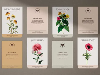 Cliffrose Seed Packets brand identity branding cliffrose flowers hotel packaging typography zion national park