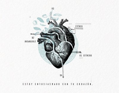 corazón design illustration vector