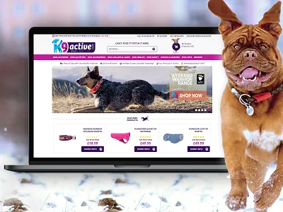 k9active accessories cat dog dog boots dog coats dog harnesses dog store ecommerce ecommerce design ecommerce shop ecommerce website design pets uk web website website design