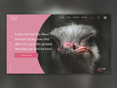 Fauna of Australia landing page animal design ui ux web web design website