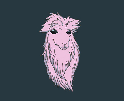 Alpaca alpaca animals illustration