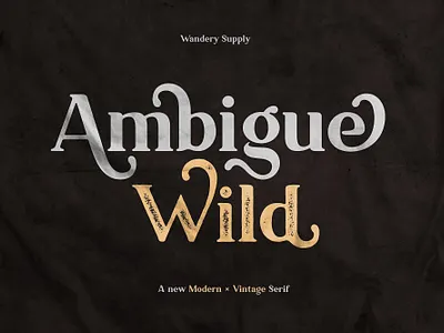 Ambigue Wild Modern + Vintage Serif branding design display font download font download fonts font font design fonts graphic design lettering logo font logo fonts retro font serif font textured font typeface typefaces typography vintage font vintage fonts