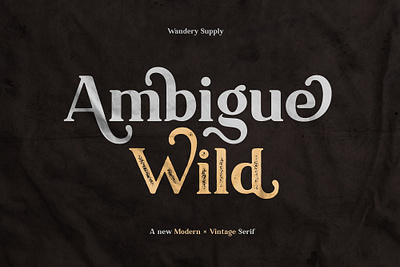 Ambigue Wild Modern x Vintage Serif art branding elegant fonts font design fonts collection lettering fonts logo modern modern fonts retro font retro fonts sans serif sans serif font serif serif font serif fonts simple typeface vintage serif wild