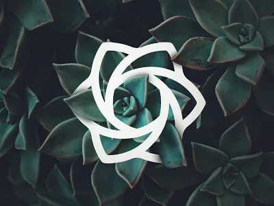 Succulent dailylogochallenge design icon illustrator illustrator cc leaf logo logodesign photoshop succulent vector