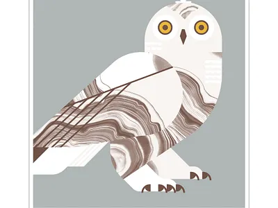 Snow Owl animal beak bird design eyes feather flight illustration owl owls talon texture vector