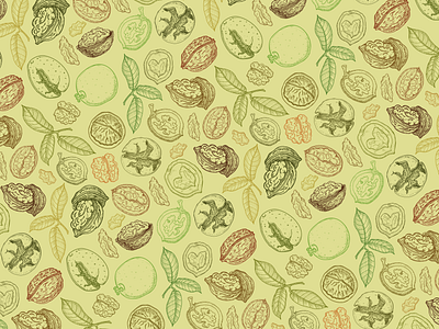 Walnuts pattern bio food botanic branding food green walnuts healthy illustration jam natural ornament package design pattern seamlesspattern superfood vector vector illustration walnut