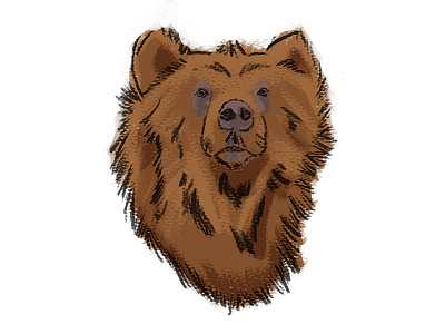 Grainy Bear digital art digital illustration illustration