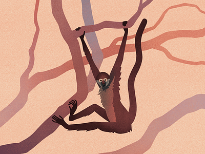 Monkey monkey digital illustration