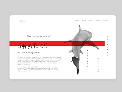 Daily UI Challenge #003 Landing Page challenge dailyui design landing page design sharks ui
