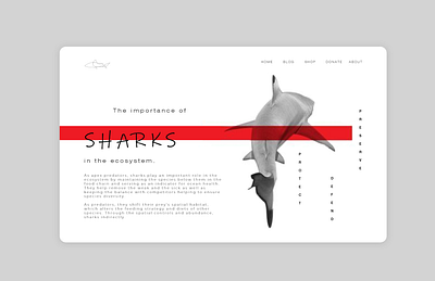 Daily UI Challenge #003 Landing Page challenge dailyui design landing page design sharks ui