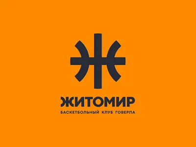 Zhitomir 🏀 app basketball branding design icon identity illustration logo website
