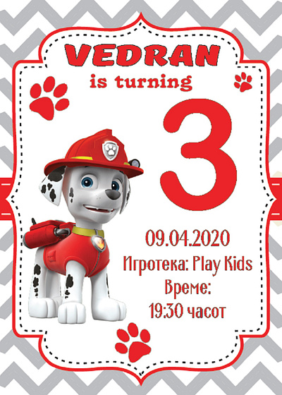 Birthday Card birthday birthday card birthday invitation design illustrator paw patrol ui vector