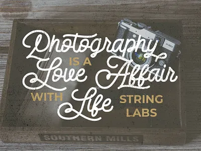 Dattge Hurty - Monoline Retro Font 80s calligraphy font grunge handdrawn handlettering handwritten line logotype mono monoline retro script vintage wedding