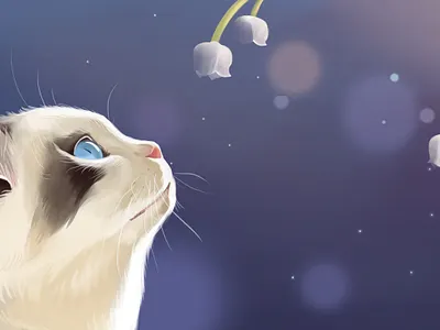 Cat cute pet branding design illustration illustrator lettering minimal typography ui ux website