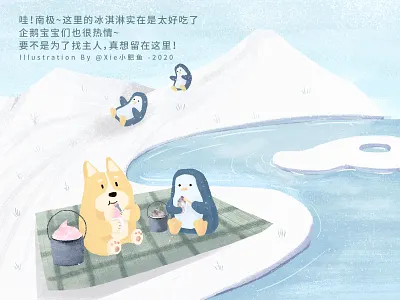 Corgi's Story of Finding a Master, Day 5 illustration