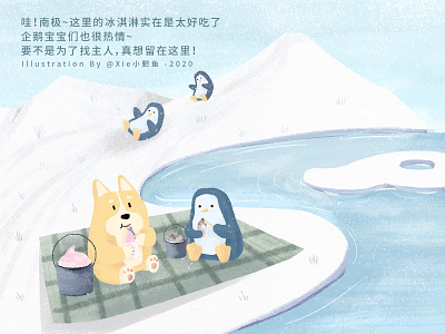 Corgi's Story of Finding a Master, Day 5 illustration