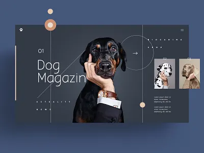 WEB - DOG animal app branding design illustration logo symbol typography ui ux web