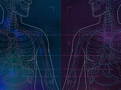 Asymmetry anatomy asymmetry blueprint health illustration medical illustration medicine science scientific illustration skeleton symmetry technical illustration xray