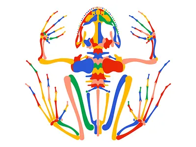 Frog skeleton illustration acid barcelona color design diatomic studio free frog frog skeleton illustration psychedelic skeleton skeletons skull skull art