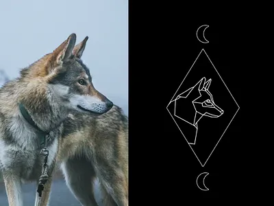Wolf tarot spirit animal style (in progress) geometric geometry moon patronus tattoo tribal wolf illustration wolf spirit animal
