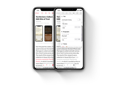 Elytra Reader Type Settings app article elytra feed font ios layout modal paragraphs popup rss text type ui