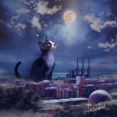 Magical Nigth barcelona cat digital painting digitalart magic nigth photoshop