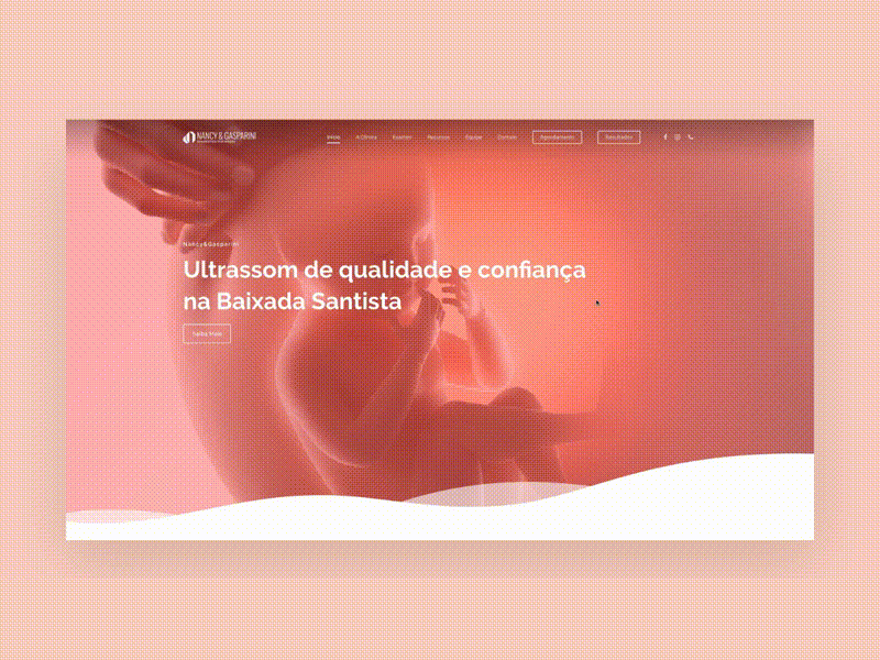 Website: Nancy & Gasparini brand design graphic design illustrator photoshop ui web webdesign website website design wordpress