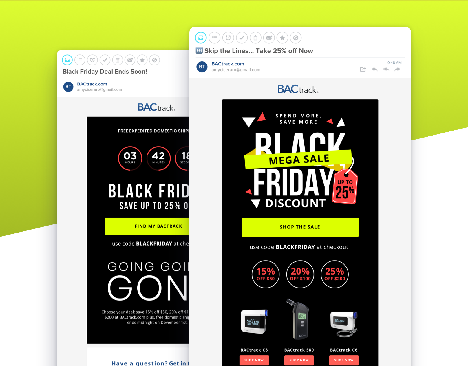 Example of Black Friday Email Campaign