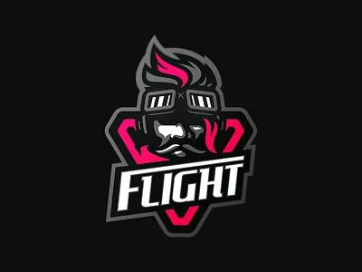 Flight branding caelum esport esports identity illustration logo logotype mascot sport