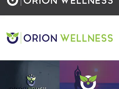 Wellness Logo Design companylogo wellness logo wellness logo design wellness logo design