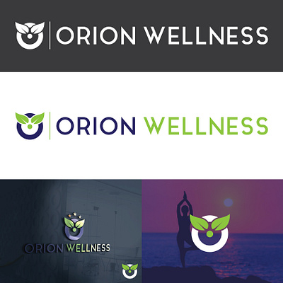 Wellness Logo Design companylogo wellness logo wellness logo design wellness logo design