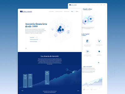 Capital Advisors / New website design illustration ui