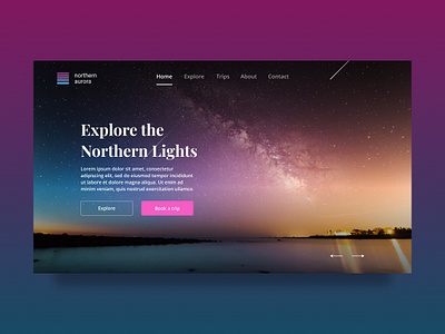 Northern Lights Web Banner animation app aurora background blue button dark design figma galaxy landing page light logo northern pagination typography ui uidesign ux web banner