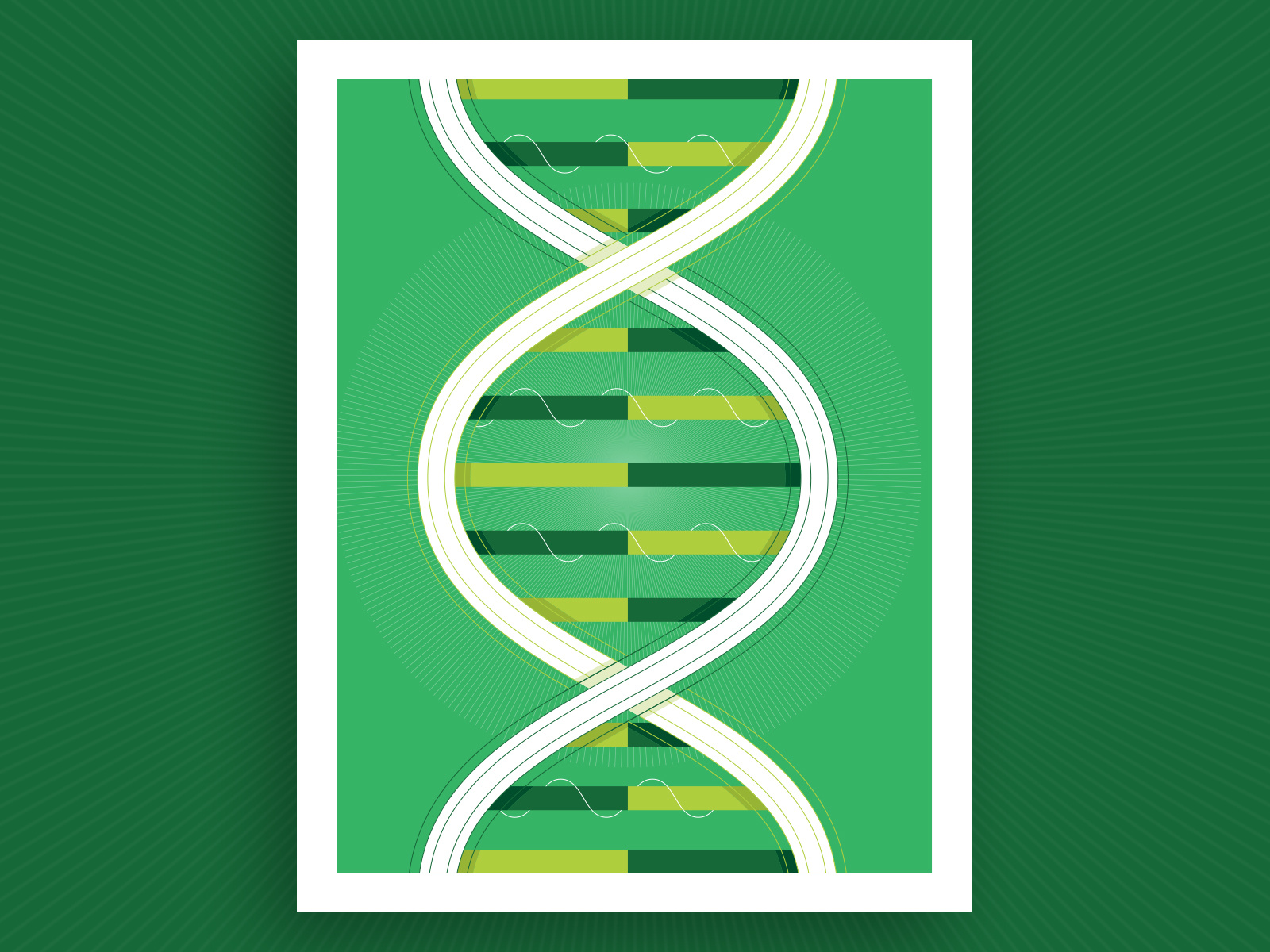 Example of Reproductive Science Illustration