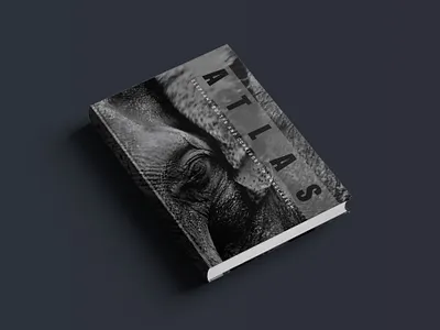 Book cover design cover design elephant hardcover