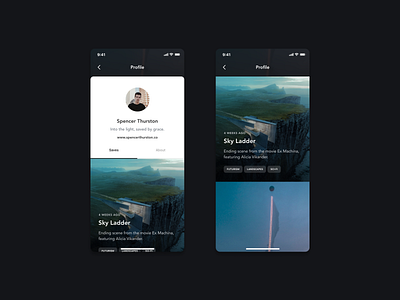 Profile Saves app app design app ui ios profile card profiles saved posts tags