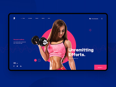 Web Design typography ui vector