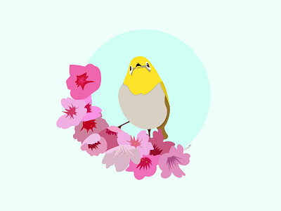 Small bird) bird design flowers illustration spring vector