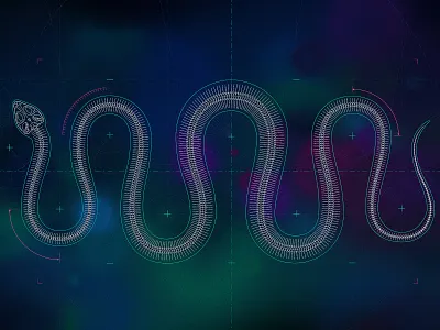 Segmentation biology blueprint health illustration medical illustration science skeleton snake technical illustration vertebrae vertebrate wave xray