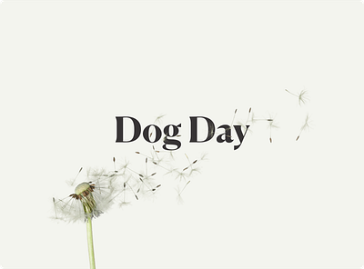 Case Study: Dog Day, Pet Care App app branding design dogs graphic design tracking typography ui ux