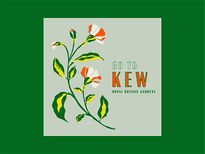 Go to Kew Part Two botanical illustration botanicals flat floral floral illustrations florals flower illustration kew kew gardens london organic