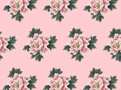 Peony Pattern botanical botanical illustration contrast design digital art digital illustration drawing flower flower illustration illustration pattern pattern a day peony vector