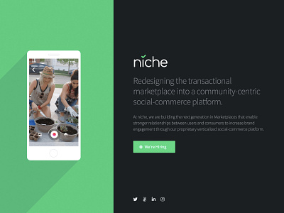 niche Splash Page