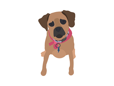 Maggie 1 animal dog doggy flat design flat illustration illustration illustrator pet pets puggle puppy vector vector illustration