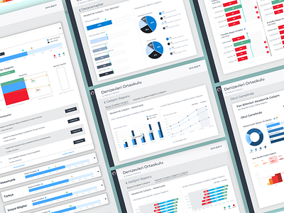 OPD Web Application Design education infographic infographic design performance tracking school ui ux ui ux design web application web application design
