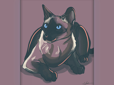 Tiberius cat digital digital art digital painting digitalart illustration illustrations ipad ipad pro ipadpro siamese sketchapp