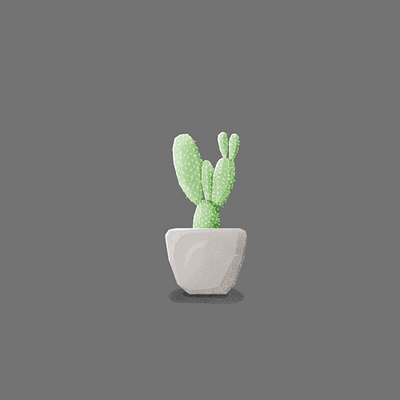 Cactus cactus cartoon character cute art drawing illustration noise plant illustration plants